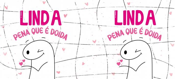 Arte para caneca: Flork - Linda, pena que é doida - Amor