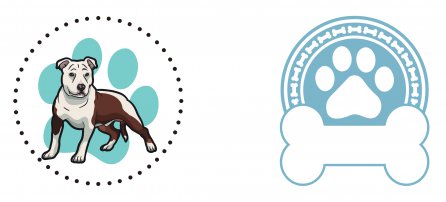 Cachorro, Pet, American Stafford