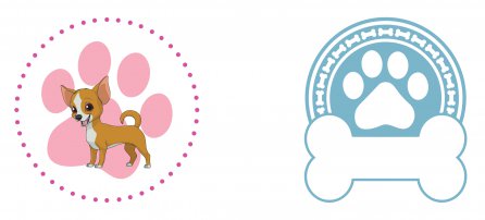 Cachorro, Pet, Chihuahua