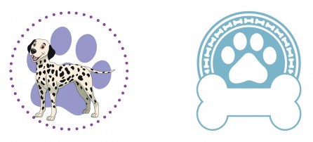 Cachorro, Pet, Dalmata