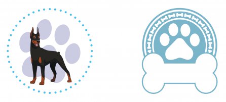 Cachorro, Pet, Doberman