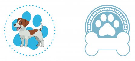 Cachorro, Pet, Jack Russel