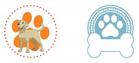 Cachorro, Pet, Labrador