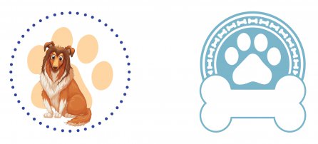 Cachorro, Pet, Lasie