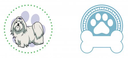 Cachorro, Pet, Maltes