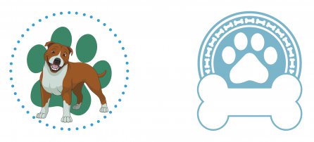 Cachorro, Pet, Pit Bull