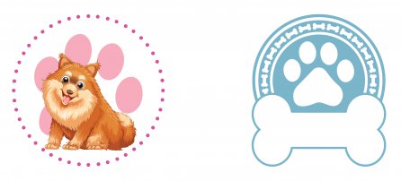 Cachorro, Pet, Pomerania