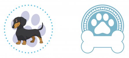 Cachorro, Pet, Salsicha