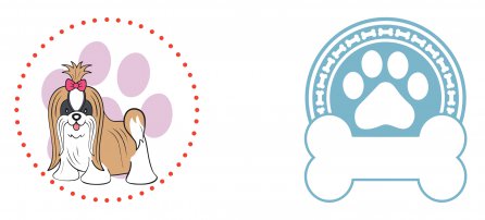 Cachorro, Pet, Shitzu