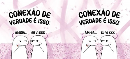 Amizade, Flork - Conexão de verdade é isso: amiga... eu vi kkk