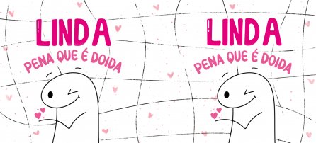 Flork - Linda, pena que é doida