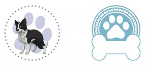 Arte similar: Cachorro, Pet, Border Collie